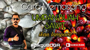 Ikan lampan jawa atau nama saintifik barbonymus gonionotus merupakan sejenis ikan yang sering dijumpai di malaysia. Resepi Umpan Ikan Lampam Resepikek Camored Com