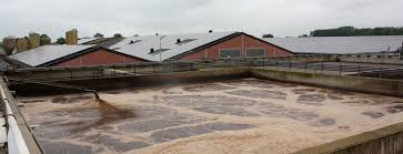 Tv mestfraude geen bedreiging voor derogatie. 3ddb7mo8vwqzhm