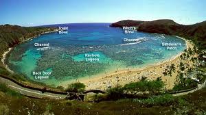Hanauma bay snorkel adventures is a local hawaii snorkeling excursion and shuttle service company dedicated to helping you and your family enjoy hanauma bay nature preserve to the fullest. Hanauma Bay Hawaii Has A Lot Of Amazing Places But This Is One Of My Favorites Oahu Vacation Snorkeling Oahu Hawaii Vacation