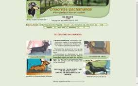 I have a little male dachshund puppy for sale. Tennessee Dachshund Breeders Directory O Puppy