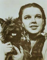 Does anyone else think of Miss Gulch from the Wizard of Oz?