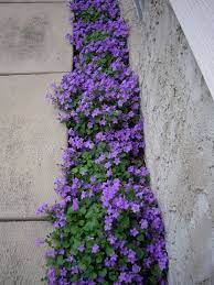 We did not find results for: Pin On Jardin Suculenta