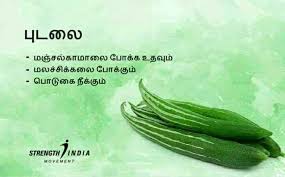 Healthy Vegetables In Tamil Natural Health Tips Optimum Nutrition Medical Health Care