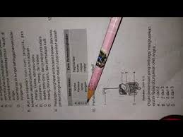 Maybe you would like to learn more about one of these? Download Latihan Ujian Tertulis 4 Ilmu Pengetahuan Alam Buku Detik Detik Usp Sdmi Mp4 3gp Naijagreenmovies Netnaija Fzmovies