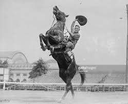 Cowboy Rides Rearing Horse Waves His Stetson Hat In 2020 Horses Horse Rearing Waves