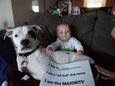 900 La Puerta De Mexico Avila Pb Breeds Ideas Pitbulls Pitbull Terrier Dogs