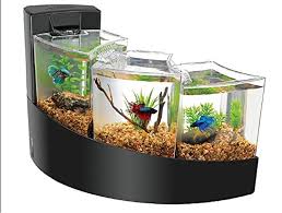 Mini Aquariums For Betta Fish With Waterfalls Aquarium Betta Fish Tank Pet Fish Cool Fish Tanks