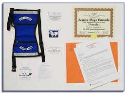 Service dog id card service dog tags service dog collar service dog leash service dog harness electronic copy of certificate and id card instructional video personal training price. Service Dog Certification Online Service Dog Registration Service Dog Identification Supplies