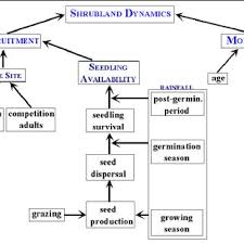 Process Chart Of The Grassland Model Showing The Model