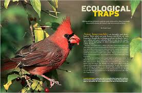 Nonnative Plants Ecological Traps Join our friendly community that shares tips and ideas for gardens, along with seeds and plants.