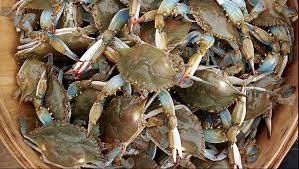 Beer of vinegar (optional) 1. Baltimore Crabs America S Best Regional Food
