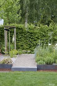 Dieartigeblog Garten Steppengarten Himalaja Steppenkerze Ahorn Buchenhecke Garten Garten Ideen Buchenhecke