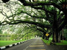 Novotel taiping perak is located at no 1 jalan tupai, 0.7 miles from the center of taiping. Famous Public Park In Taiping Perak Malaysia Taiping Beautiful Park Beautiful Landscapes