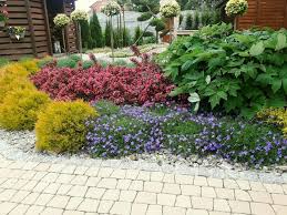 Colorful Flowerbed Weigela Thuja Golden Tuffet Campanula Anemone Ogrody Elfir