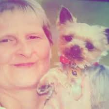 Should I keep a male or female yorkie pup?