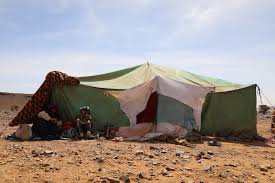 البدوية    البدائية   والتبدون ….