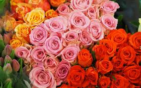 Valentine's Day flowers from the Market - Dandenong Market