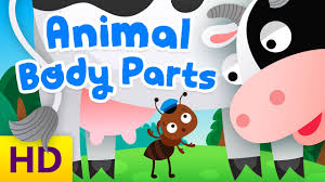 These kindergarten anchor charts will give you the tools you need to teach math, reading, friendship skills, and much more! Animal Body Parts For Kids Educational Video For Preschool Kindergarten Kids Academy Youtube