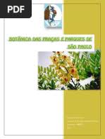 Image result for Eriocaulon angustibracteatum