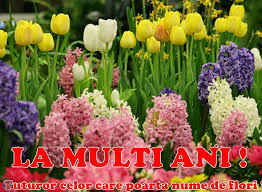 Aranjamentele florale pentru la mulți ani. Mesaje Florii 2020 Cele Mai Frumoase Mesaje Urari Si Felicitari De Florii Jurnal De Craiova