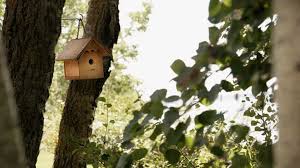 You will find better designs on this page though but as tim says he never heard the birds complain about his cheap and. 12 Simple Diy Bird House Plans Easy To Build From One Board