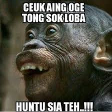 Filsafat menjawab, seputar internet, bukan sekolah, radio singham, podcast 5 kage, meme indonesia, rabu cringe, jawaban kalian, numpang tanya, surat kalian, bukan gaming, komentar netizen. Gambar2 Lucu Komentar Facebook Bahasa Sunda Gambar Lucu Lucu Meme Lucu