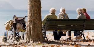 Senior Companion Program Office On Aging Outdoor Companion Outdoor Decor