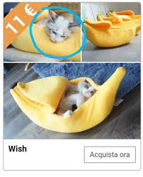 Não existem intermediários no wish e a qualidade dos nossos produtos é igual ou. Wish Colpisce Ancora Atti Effimeri Di Comunicazione