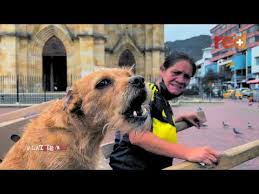 So what is juan diego alvira's salary per year? Video Juan Diego Alvira Uncovered What Makes Him Get Into Rivers And Marches Newswep