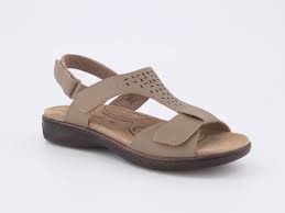Buy the DEVIKA Biscuit Online Homyped