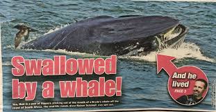 Usa, uomo viene inghiottito da una balena al largo del massachusetts. Balena Inghiotte Sub E Poi Lo Risputa Illeso Le Immagini Radio Deejay