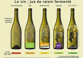 Vin Bio Vin Vegan Vin Biodynamique Vin Nature Quelles Differences Avec Images Vin Bio Jus De Raisin Vin