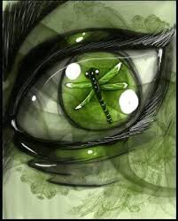 Black And Yellow Dragonfly With Green Eyes Crazy Eyes Dragonfly Eyes Creepy Eyes