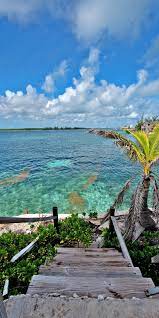 Nassau Bahamas On This Island All Paths Lead To The Water Take A Quick 30 Minute Boat Ride Of Beautiful Places To Travel Bahamas Pictures Caribbean Travel