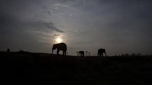 Ledakan dahsyat atau dentuman besar (bahasa inggris: Dentuman Misterius Terdengar Di Lampung Kamis Malam