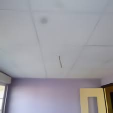Bien choisir sa dalle de plafond. Faux Plafond Dossier Technique Complet Prix Et Photos De Realisations