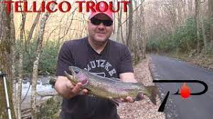 Tellico River Fishing Map Tellico River Trout Fishing - Youtube