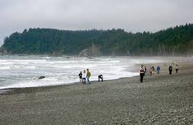 It is adjacent to mora campground in the olympic national p. Olympic National Park Closes Beaches Coastal Areas Peninsula Daily News