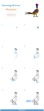 How To Draw A Pheasant Step By Step Easy Drawing Guides Drawing Howtos The common pheasant is similar to golden, but looks much less luxurious. how to draw a pheasant step by step