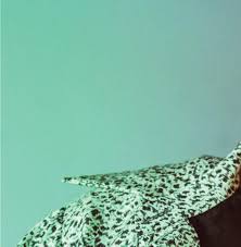 Nashville Scene 12-12-24 by FW Publishing - Issuu