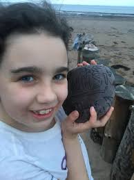 Found this in the sea yesterday, just off Warren Bay 💙