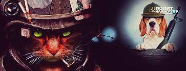 pin na doske sherstyanye