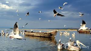 Manyas Kus Cenneti Bird Paradise National Park