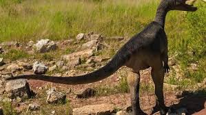 We did not find results for: Bagaimana Cara Ilmuwan Mengukur Tubuh Dinosaurus Yang Sudah Punah Global Liputan6 Com