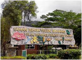 Maybe you would like to learn more about one of these? Traveller Taman Rimba Is About The Nature