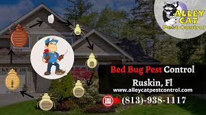 Categories:pest control services, termite control. Bed Bugs Pest Control Treatment Riverview Florida Alley Cat Pest Control