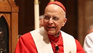 The story of friendship between a boy and a Cardinal...