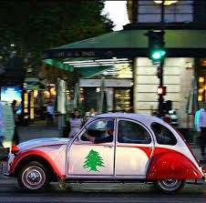 Sometimes Our Love For Our Country Exceeds All Limits Togetherforlebanon Beirut Lebanon Lebanon Culture Lebanon Beirut