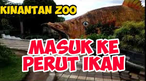 Tiket masuk kinantan zoo bukittinggi. Kinantan Zoo Bukittinggi 2 Youtube