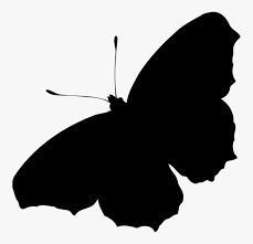 Choose from 220+ flower silhouette graphic resources and download in the form of png, eps golden mandala in flower silhouette with transparent background. Butterfly Plant Flower Butterfly Silhouette Png Transparent Png Transparent Png Image Pngitem